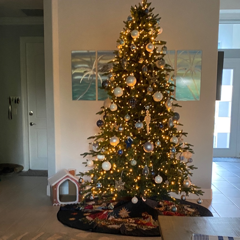 Live show listing